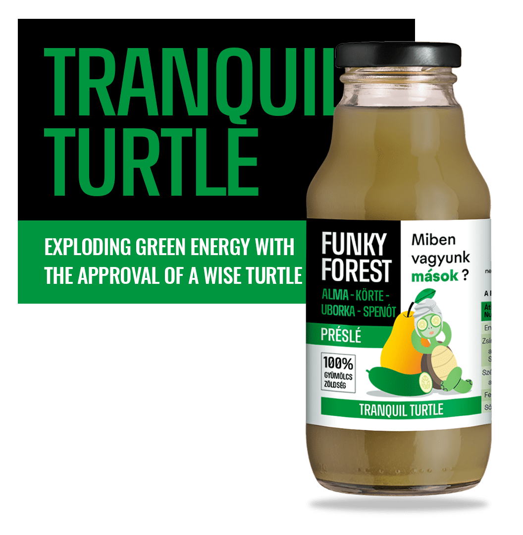 Tranquil Turtle