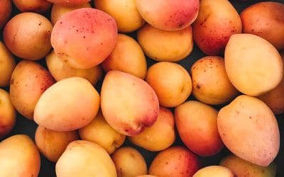 Befőzés, fagyasztás, aszalás – rakjuk el a nyár ízeit télre!